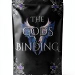 The Valorian Veil Book 2 Kindle eBook Magic Romance Fantasy-0