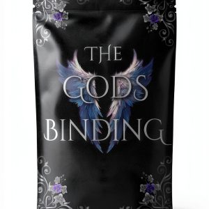 The Valorian Veil Book 2 Kindle eBook Magic Romance Fantasy-0