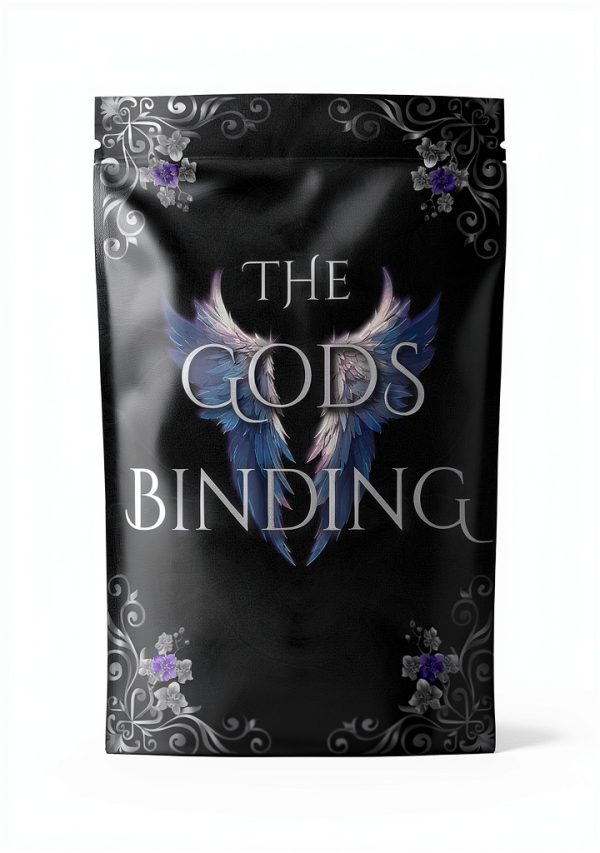 The Valorian Veil Book 2 Kindle eBook Magic Romance Fantasy-0