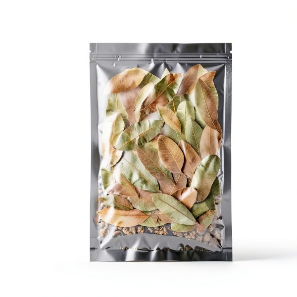 Dried Longan Leaves 55+ (4-6 in) FlyweightZ Litter Moisture & Hide-1