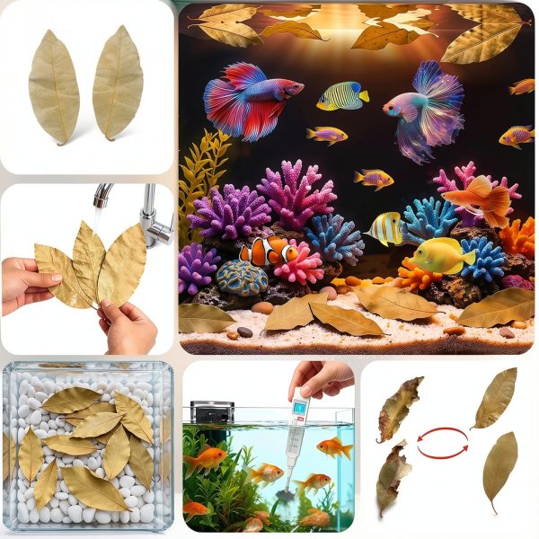 Dried Longan Leaves 55+ (4-6 in) FlyweightZ Litter Moisture & Hide-2