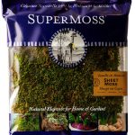 SuperMoss Preserved Sheet Moss Fresh Green Substrate 10x10-0