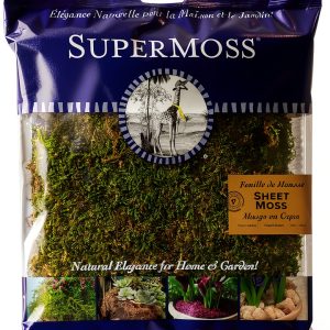 SuperMoss Preserved Sheet Moss Fresh Green Substrate 10x10-0