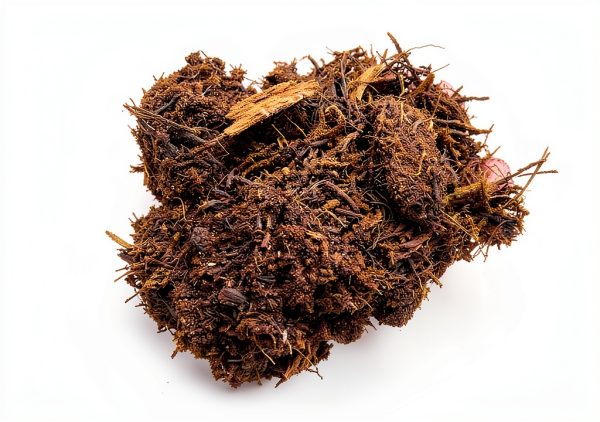 New Zealand Tree Fern Fiber Substrate 1 Gallon - Tezula-1
