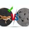 Bearded Dragon Tank Accessories Vodolo Terrarium Carpet 79‑inch Black-4