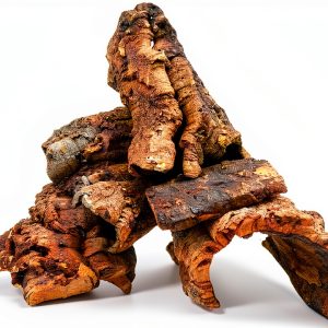 Cork Bark 1lb Substrate for Orchids, Airplants & Reptiles--0