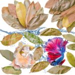 Dried Longan Leaves 55+ (4-6 in) FlyweightZ Litter Moisture & Hide-0