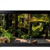 Reptile Tank Background Duedusto 36x18in 40 Gallon Set - 3 Styles-5