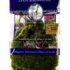 SuperMoss Preserved Sheet Moss Fresh Green Substrate 10x10-2