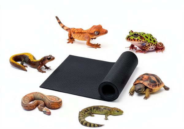 Reptile Terrarium Substrate Barriers 2Pcs 36x18 Duedusto Mesh-5