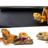 Reptile Carpet Bedding Uigidori 17.7x78.7in Black Cuttable Substrate-6
