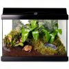 Zoo Med Eco Earth Compressed Coconut Fiber Terrarium Substrate 3 Pack-6